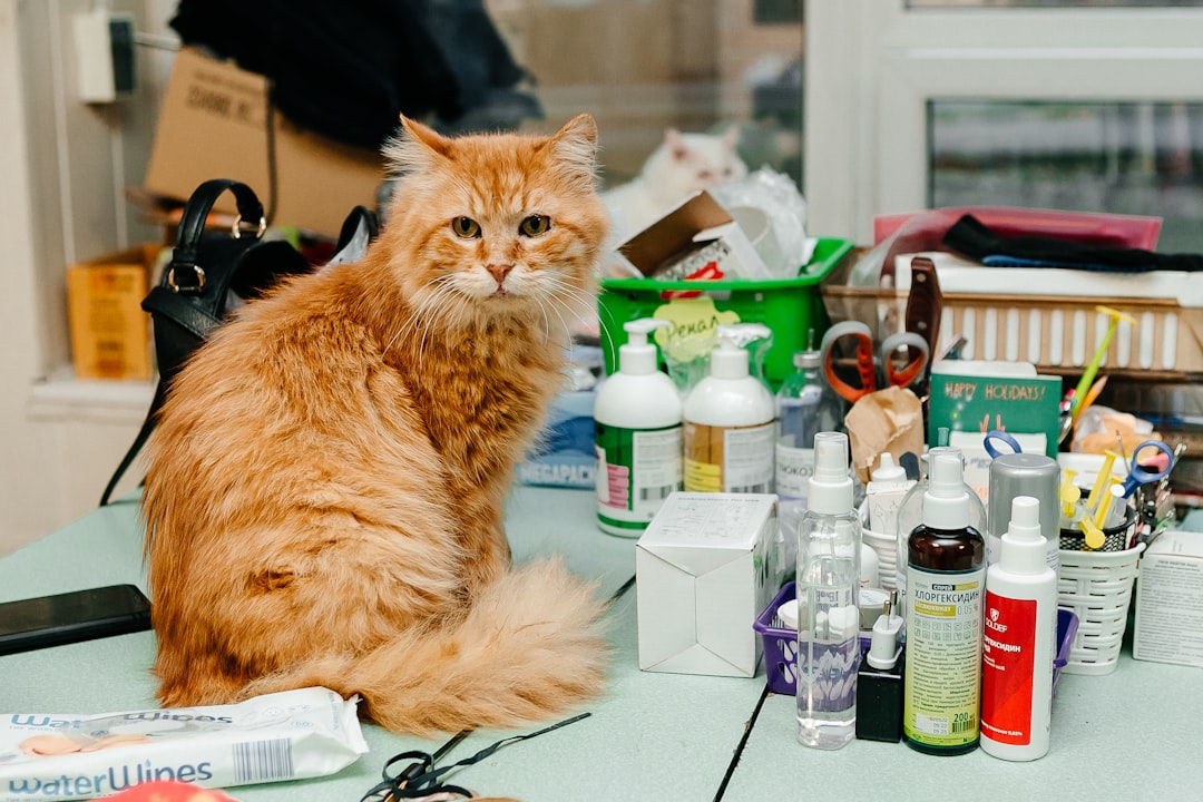 an-orange-cat-sitting-on-a-table-surrounded-by-cosmetics-zm8jkjsyuwy